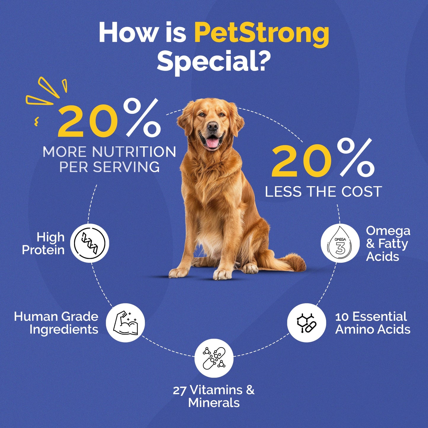 PetStrong Lamb and Blueberry Grain Free Fresh Food for Dogs