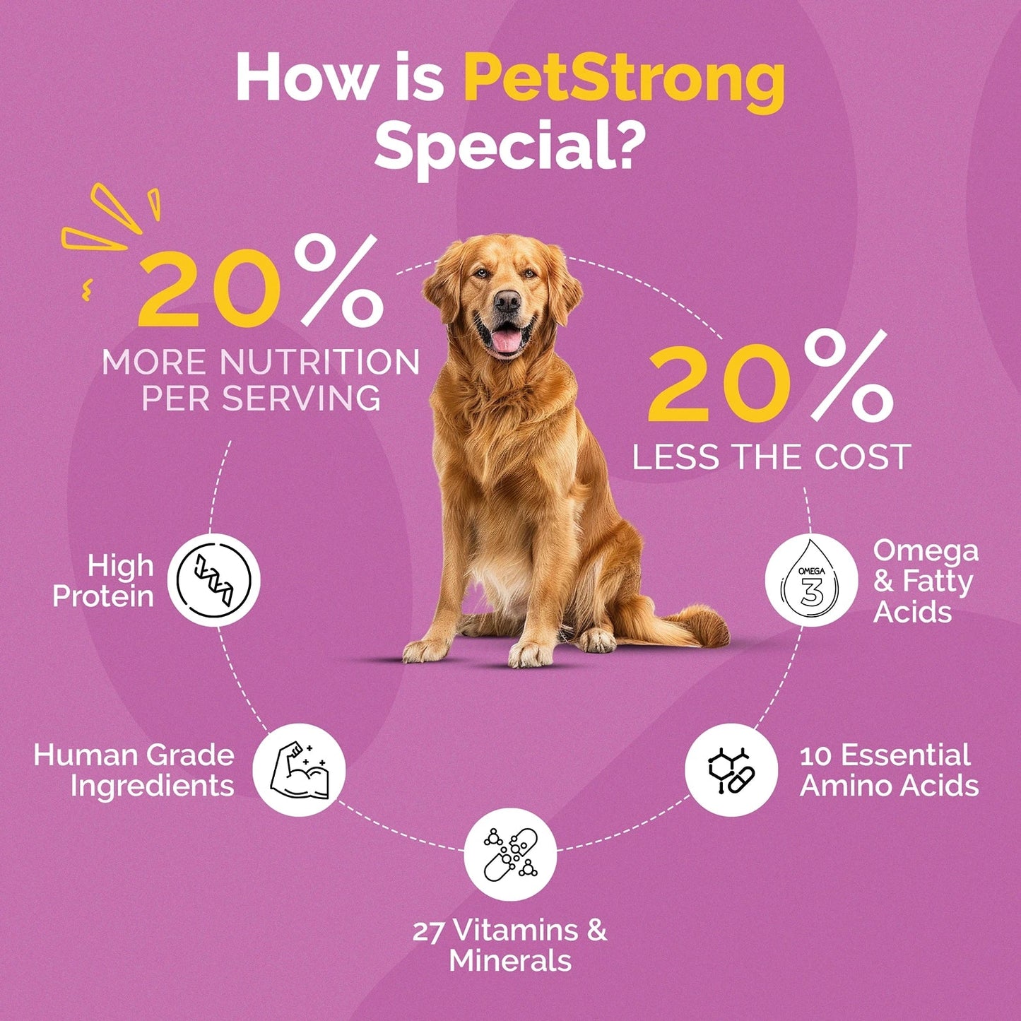 PetStrong Chicken and Rice Fresh Food for Dogs